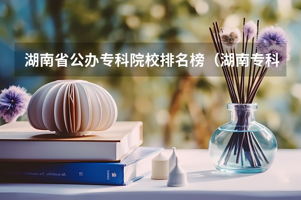 湖南省公办专科院校排名榜（湖南专科学校排名2022最新排名）