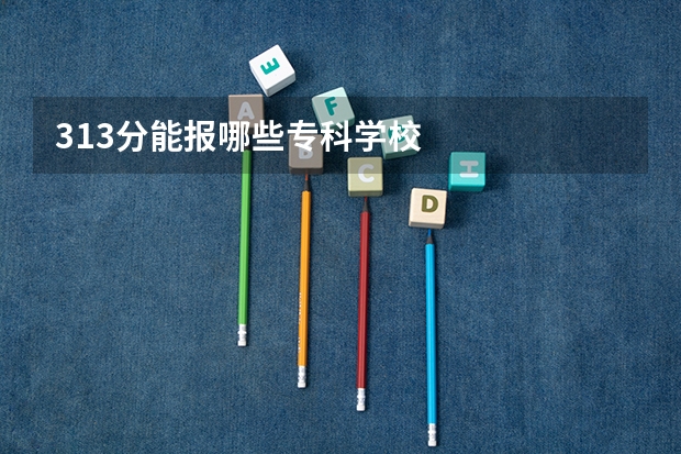 313分能报哪些专科学校