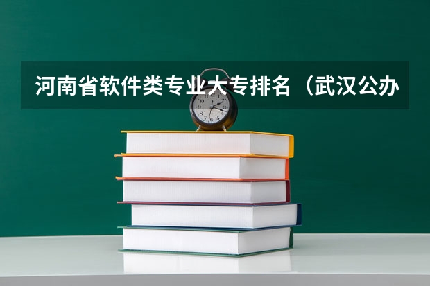 河南省软件类专业大专排名（武汉公办专科学校排名）