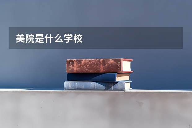 美院是什么学校