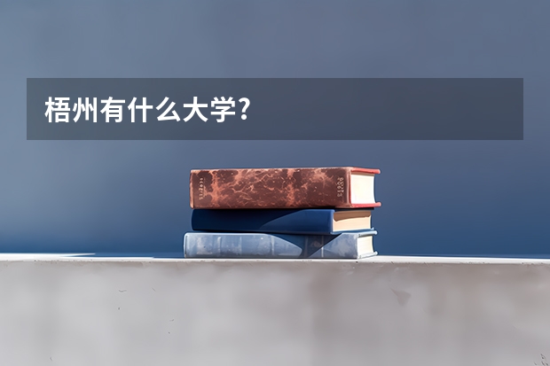 梧州有什么大学?