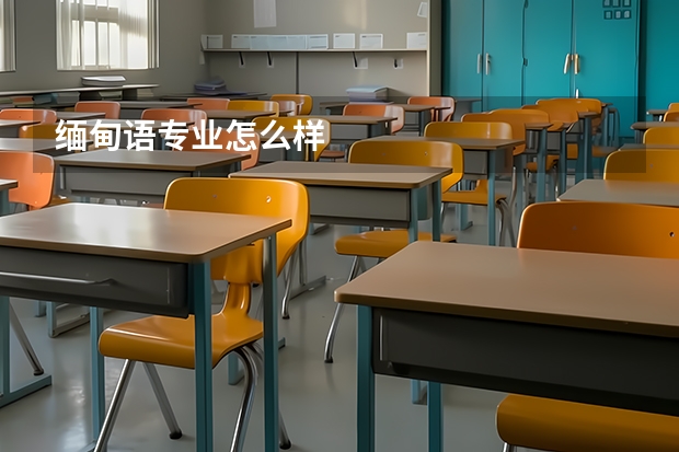 缅甸语专业怎么样
