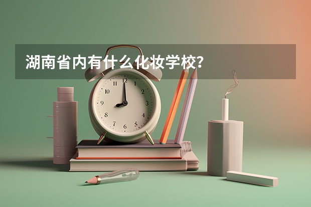 湖南省内有什么化妆学校？