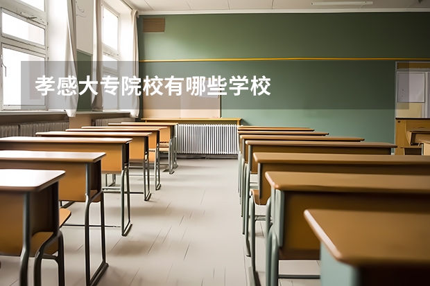 孝感大专院校有哪些学校