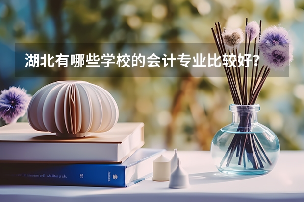 湖北有哪些学校的会计专业比较好？