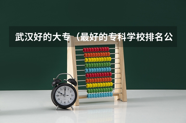 武汉好的大专（最好的专科学校排名公办）