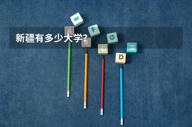 新疆有多少大学?