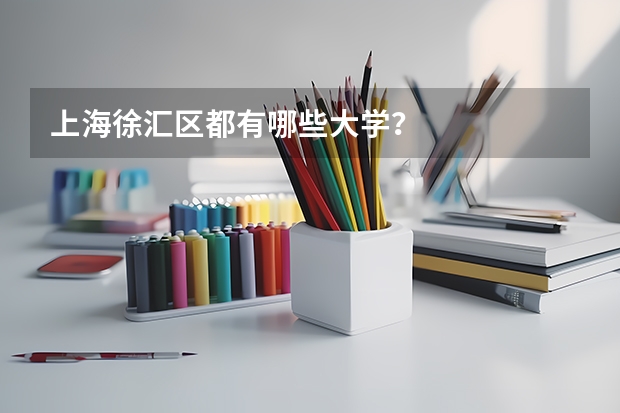 上海徐汇区都有哪些大学？