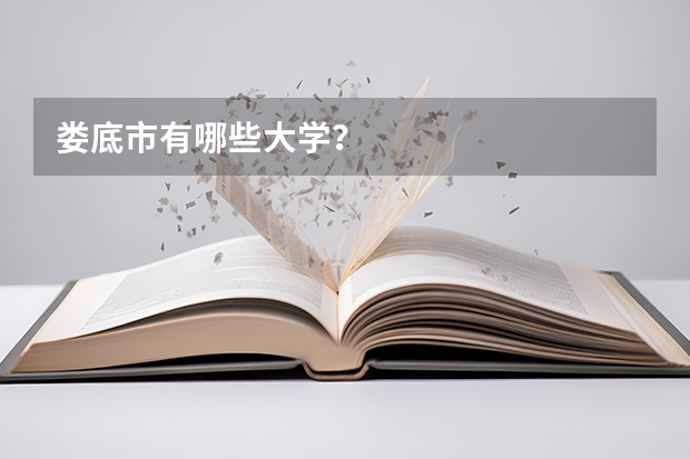娄底市有哪些大学？