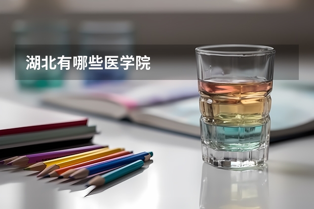 湖北有哪些医学院
