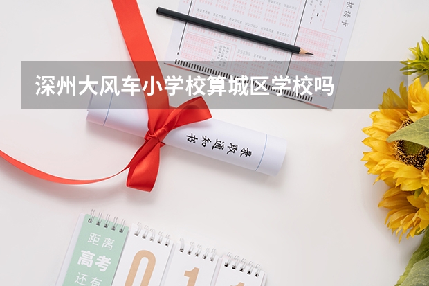 深州大风车小学校算城区学校吗
