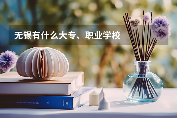 无锡有什么大专、职业学校