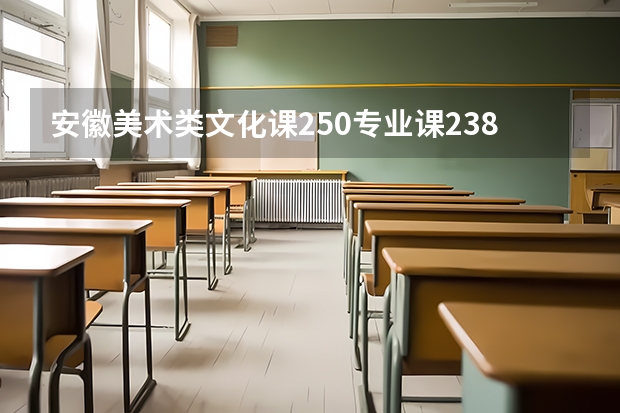 安徽美术类文化课250专业课238能上什么学校？