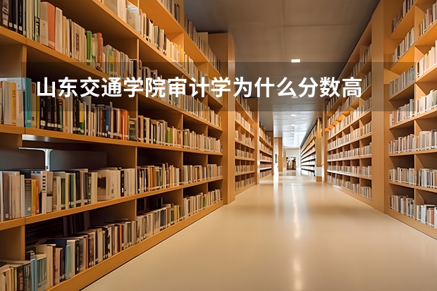 山东交通学院审计学为什么分数高