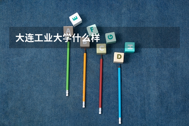 大连工业大学什么样