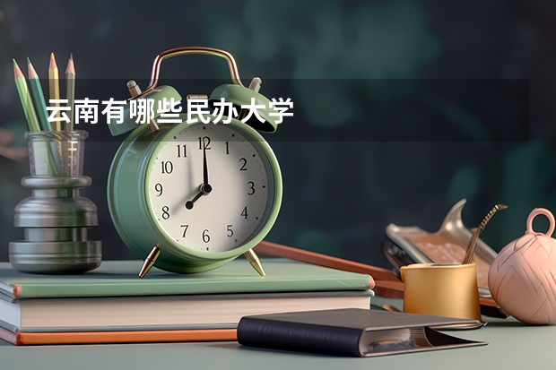 云南有哪些民办大学