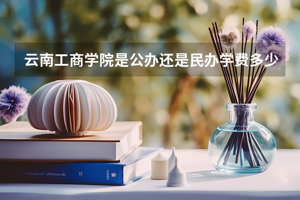 云南工商学院是公办还是民办学费多少一年