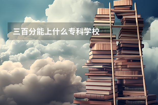 三百分能上什么专科学校