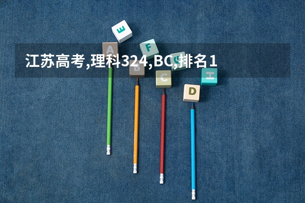 江苏高考,理科324,BC,排名12万,能报省内什么学校?
