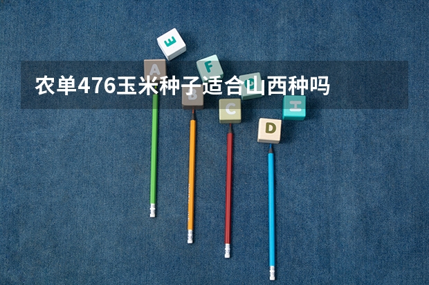 农单476玉米种子适合山西种吗