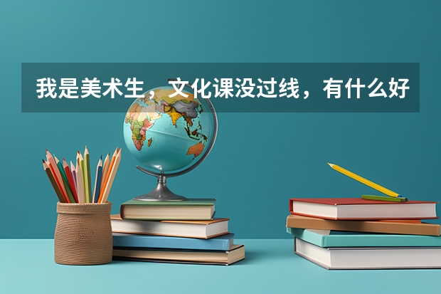 我是美术生，文化课没过线，有什么好的专科学校吗