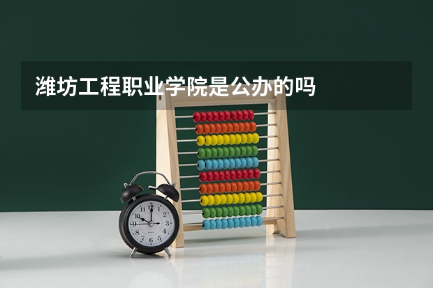 潍坊工程职业学院是公办的吗