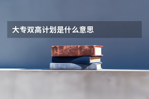 大专双高计划是什么意思