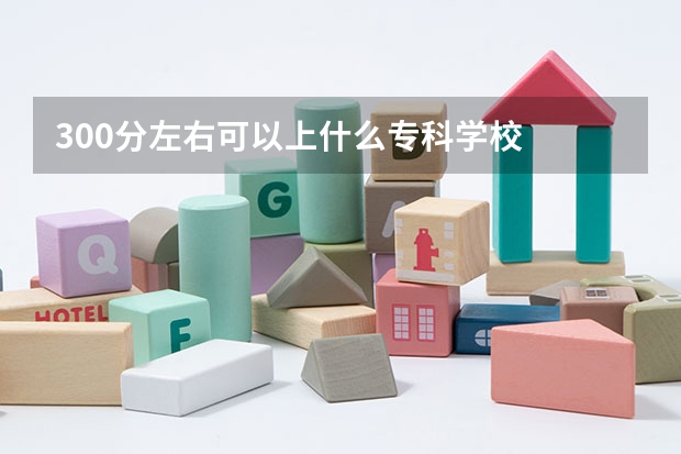 300分左右可以上什么专科学校
