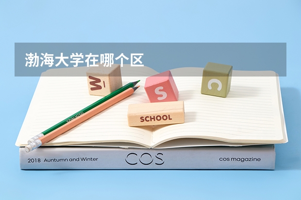 渤海大学在哪个区