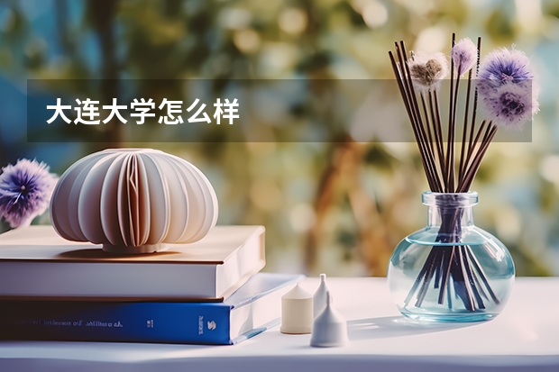 大连大学怎么样