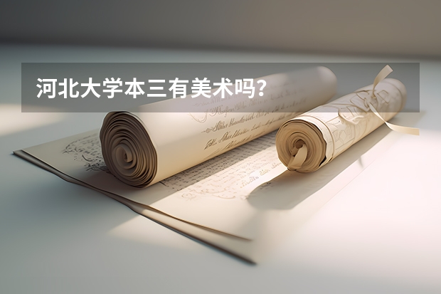 河北大学本三有美术吗？