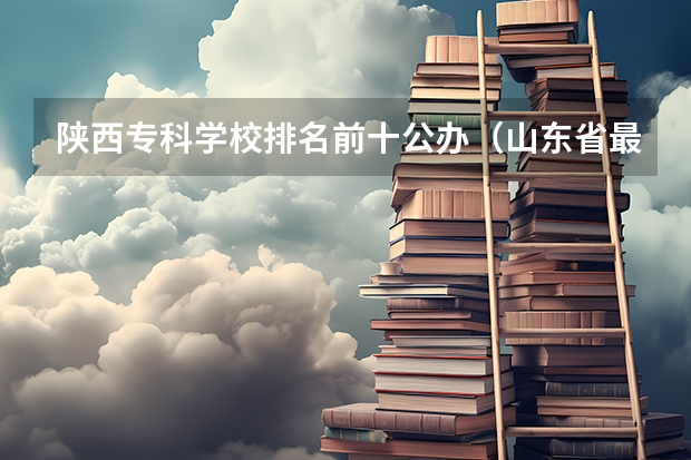 陕西专科学校排名前十公办（山东省最好的专科学校排名公办）
