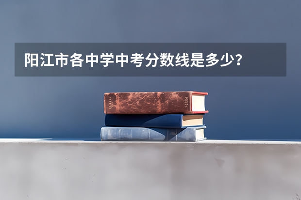 阳江市各中学中考分数线是多少？