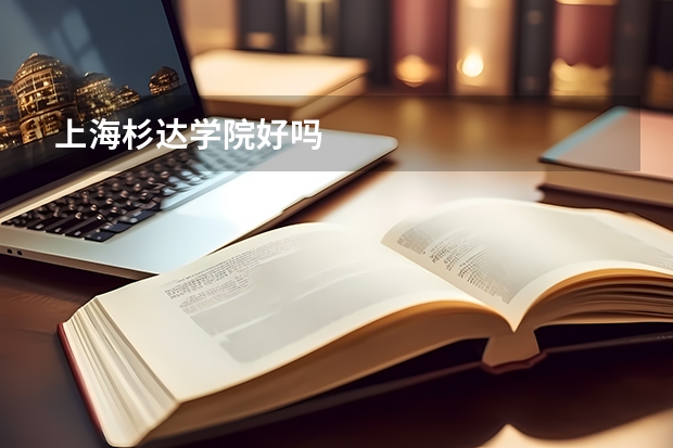 上海杉达学院好吗