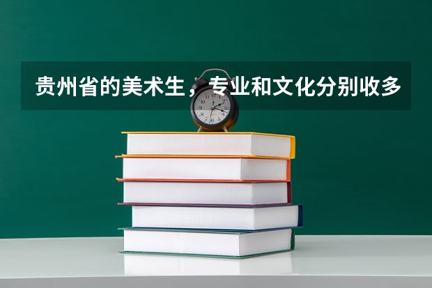 贵州省的美术生，专业和文化分别收多少分呀？