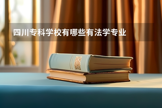 四川专科学校有哪些有法学专业