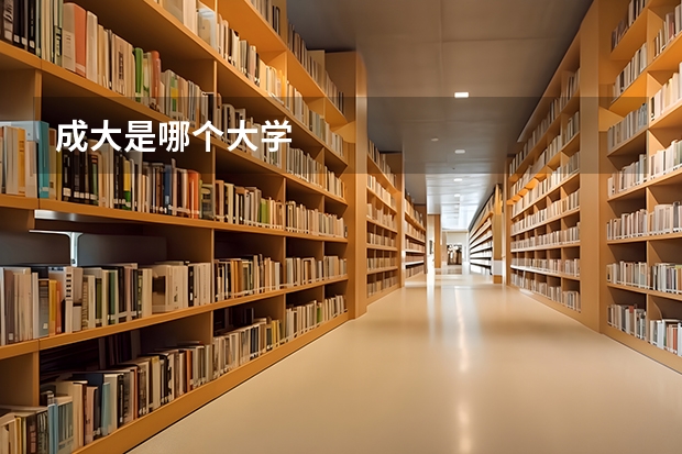 成大是哪个大学