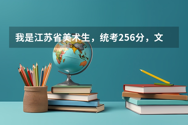 我是江苏省美术生，统考256分，文化一般240左右，能上什么大学啊