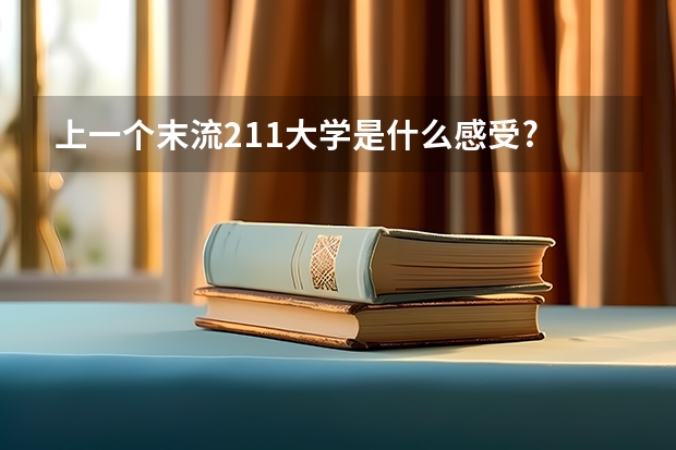 上一个末流211大学是什么感受?