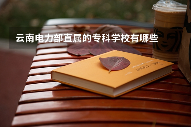 云南电力部直属的专科学校有哪些