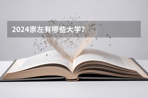 2024崇左有哪些大学？