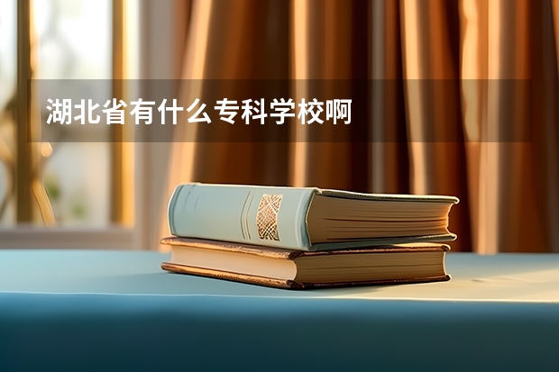 湖北省有什么专科学校啊