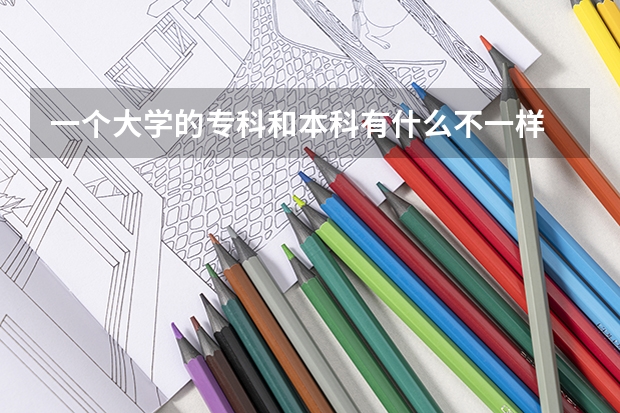 一个大学的专科和本科有什么不一样 是在一个学校里吗