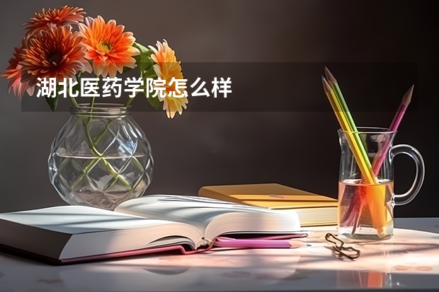 湖北医药学院怎么样