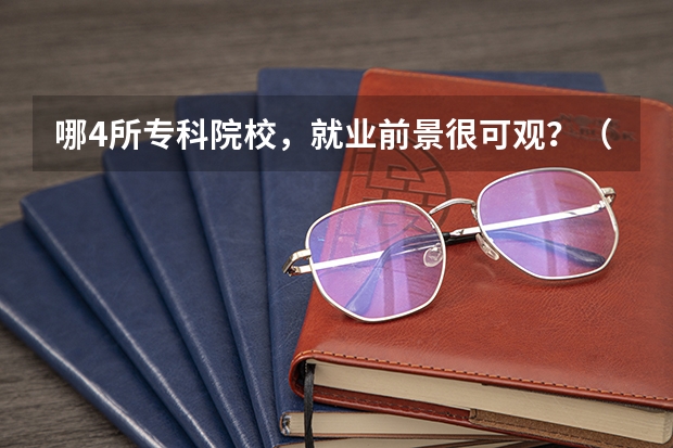 哪4所专科院校，就业前景很可观？（南京有那些大专学校及分数线）