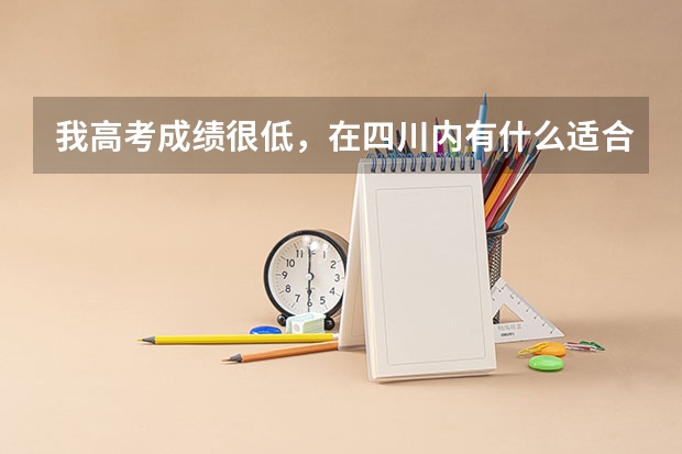 我高考成绩很低，在四川内有什么适合我的学校呢