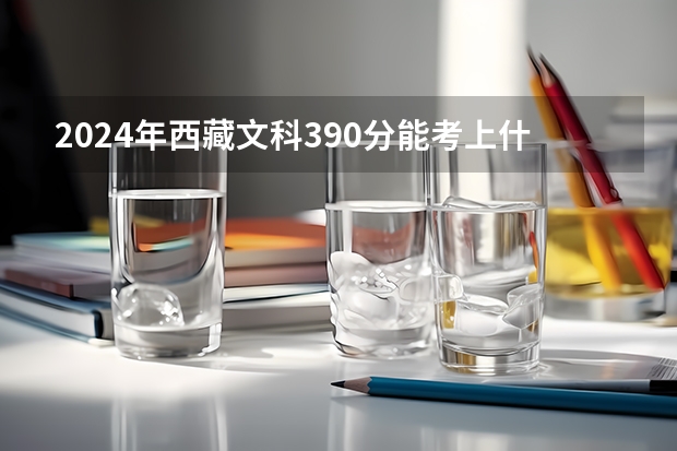 2024年西藏文科390分能考上什么大学？
