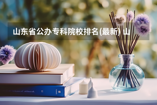 山东省公办专科院校排名(最新) 山东十大专科学校排名