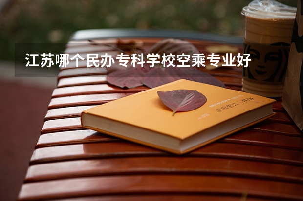 江苏哪个民办专科学校空乘专业好