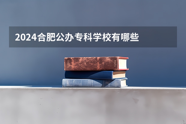 2024合肥公办专科学校有哪些